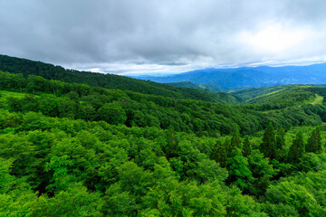 広大な森林　山並み　秋田県