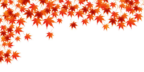 紅葉　もみじ　秋　背景