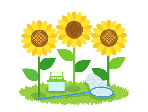 虫取り Images Browse 2 733 Stock Photos Vectors And Video Adobe Stock