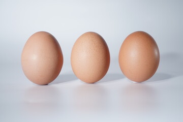 fresh egg