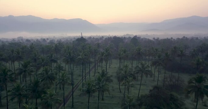 Coconut Grove Treetops With Misty Mountain Ranges In Background At Cotigao Wildlife Sanctuary In South Goa, India. - Aerial Drone Shot