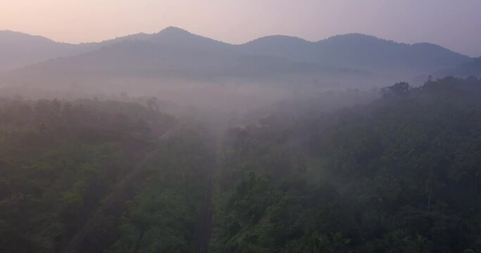 Forest With Densely Woods In Between Remote Road Under Overcast Sky At Cotigao Wildlife Sanctuary Netravali, South Goa India. - Aerial Wide Shot