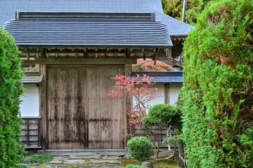 Fototapeta na wymiar 平泉で見た紅葉と日本家屋のコラボ情景＠岩手