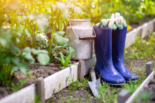 Rubber boots, scoop and tools after gardening among beds