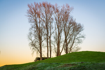 Fototapeta premium South Waikato - Tokoroa = Early morning winter sunrise