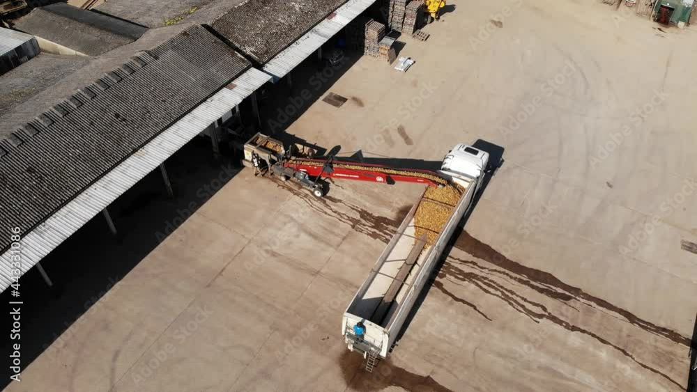 Poster aerial view of potato grader loading product into a trailer ready for delivery