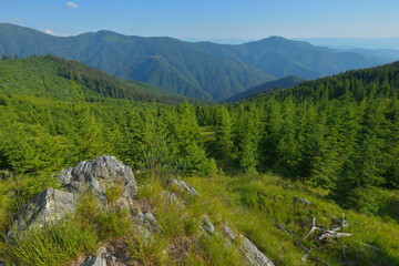 Landscape panoramic view of summer Maramures, Carpathian mountains, Ukraine