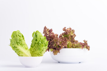 Green baby cos lettuce and red coral lettuce in a bowl on white background