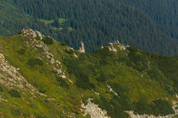 Shpyci in Carpathian Mountains, Ukraine