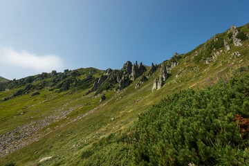 Fototapeta na wymiar Shpyci in Carpathian Mountains, Ukraine