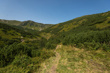Fototapeta na wymiar Road to Shpyci mountain in Ukraine