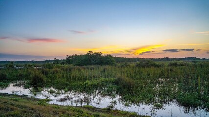 Orange sun rising in the swamp