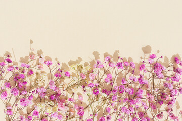 Naklejka na ściany i meble Minimal natural layout made with small pink flowers on beige colored background. Floral visuals with sunlight and shadows, pastel monochrome colored image with neutral tones.