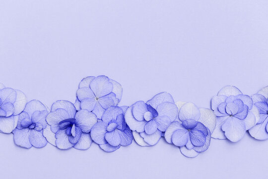 Floral arrangement with small puple Hydrangea flowers, natural floral flat lay in summer seasonal style. Minimal monochrome top view