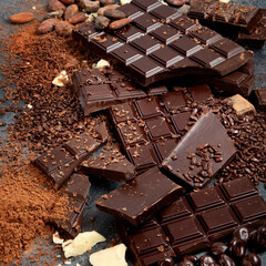 Cacao beans and chocolate on gray background.