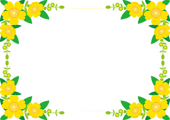 Hypericum patulum Yellow Flowers Border Frame Background