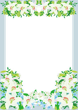 Classical White Lily with Oxypetalum coeruleum Tiny Flowers Border Frame Background