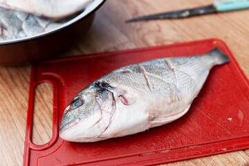Raw dorado fish on a plastic red cutting board before cooking. Close-up. Picnic in nature.