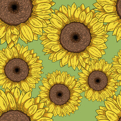 Sunflower Hand Drawn Vector Illustration Seamless Pattern