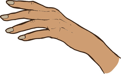 woman hand gesture. Hand-drawn Vector Illustration