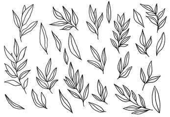 Obraz premium Set of black line leaves on a white background. Summer botanical illustration. Collection of hand drawn monochrome plants.