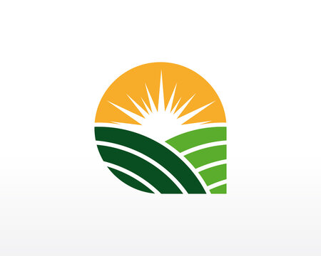 Farm Logo Design. Agriculture Logo design vector