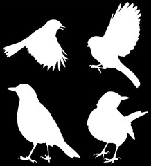 set of four small birds white silhouettes
