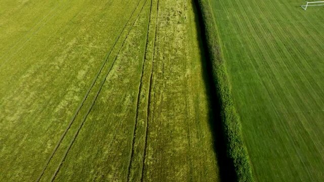 Flying over a hedgerow between a barley field and a playing field.