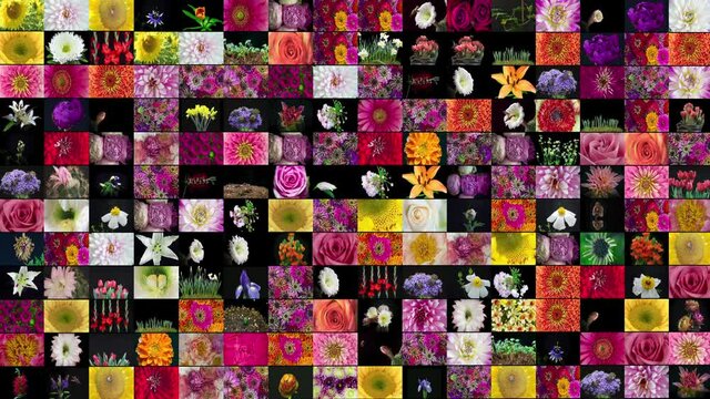 Blooming Flower Tile Film Quilt