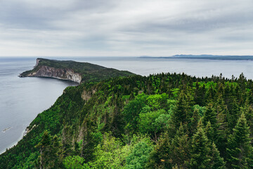 View on Cape Gaspé cliffs in Forillon National Park from the top of Mont St Alban (Quebec, Canada)