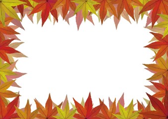楓の葉の長方形フレーム