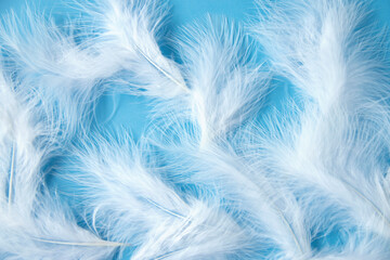 青い髪の上の白い羽根の背景