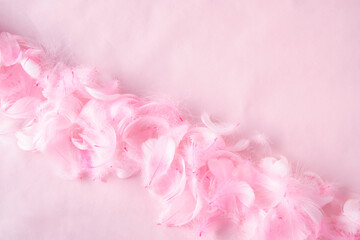 ピンクの紙とピンクの羽根の背景