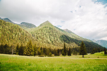 Obraz premium natural landscape with green mountain peaks in summer