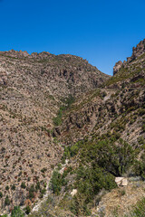 The desert landscape of Mt Lemmon outside of Tucson