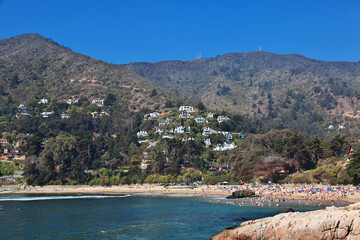 Houses on the hill in Zapallar village, Chile