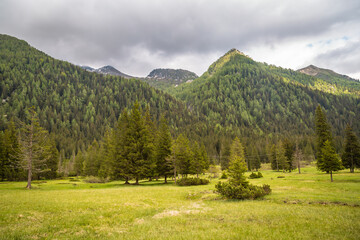 Fototapeta na wymiar natural landscape with green mountain peaks in summer