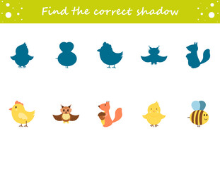 Find the correct shadow. Owl, chick, hen, squirrel, bee, cock. Education worksheet. Matching game for kids. Puzzle for children. Cartoon character. Isolated vector illustration.