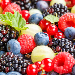Berries fruits berry fruit strawberries strawberry blueberries blueberry square