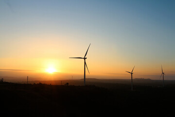 Windmill field