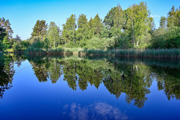 Fototapeta na wymiar trees mirroring in calm water in Sweden