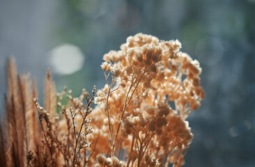Naklejka premium Close-up view of the bunch of dry flowers