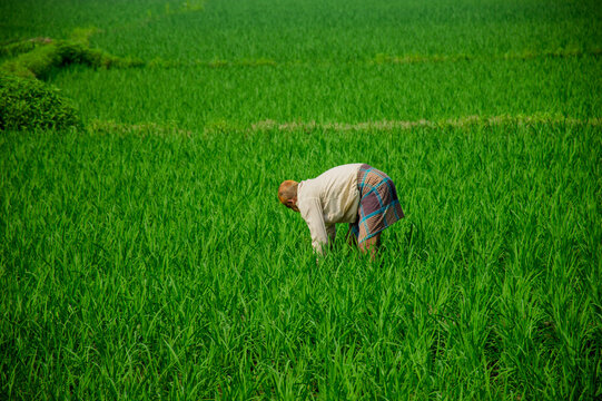 A farmer is working hard in his field.