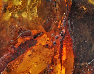 Polished, beautiful Baltic amber fossil , precious