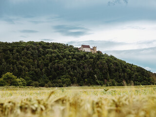 Blick auf Schloss Weitenburg, Baden-Württemberg