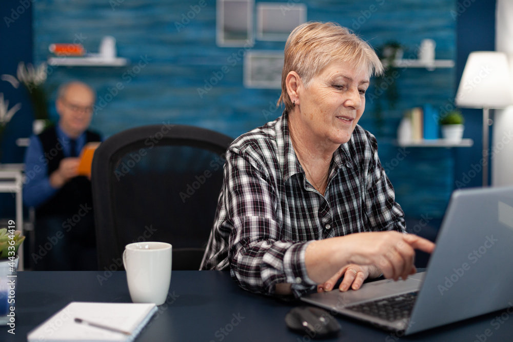 Poster senior lady entrepreneur working and pointing at computer screen while browsing on internet. elderly