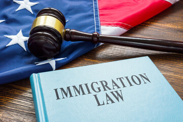 Immigration law, wooden gavel and American flag.