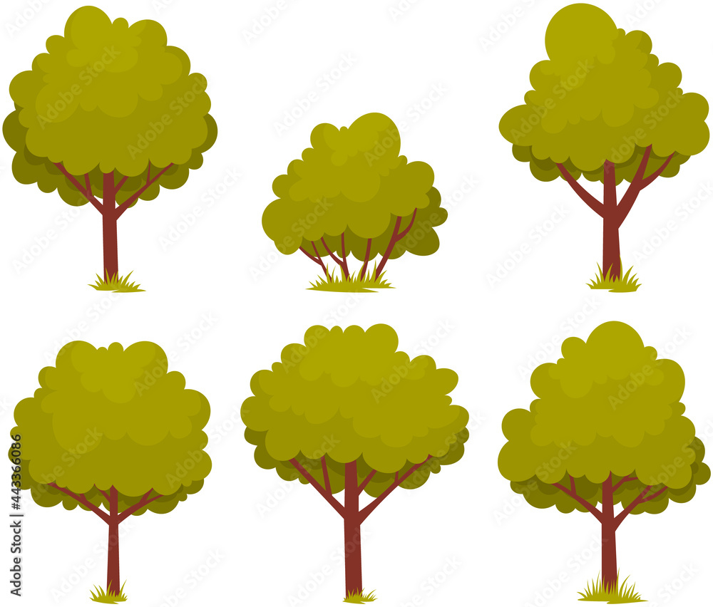 Poster set of deciduous tree with trunk and dense foliage. high plant with widely spread branches and green