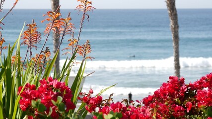 Pacific ocean beach, palm trees, flowers and pier. Sunny day, tropical waterfront resort. Oceanside...