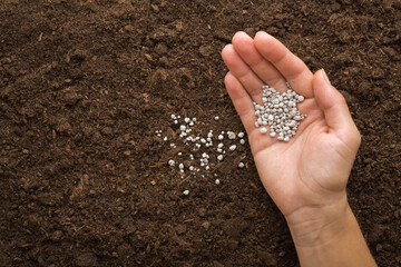 Young adult woman palm pouring gray complex fertiliser granules on dark brown soil. Closeup. Product for root feeding of vegetables, flowers and plants. Top down view. - obrazy, fototapety, plakaty